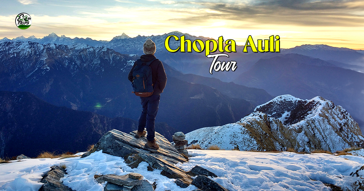 Chopta Auli Trip Package 2026